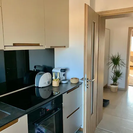 Viktory Apartment Brasov